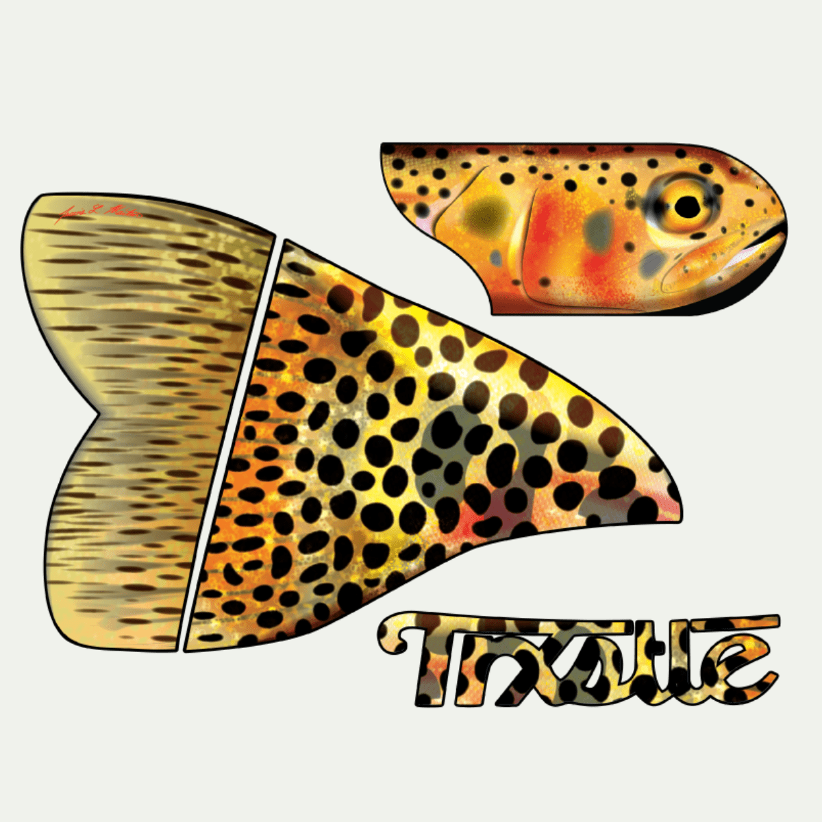 Cutthroat Trout Fish Skin – Trxstle