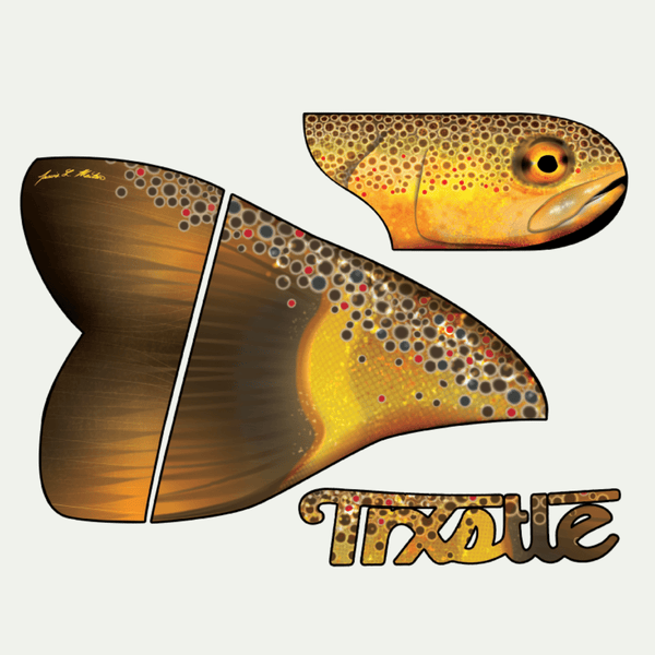 MAGIC-TROUT-MONSTER CARRIER-XXL-38CM-54CM-30CM-Forellen